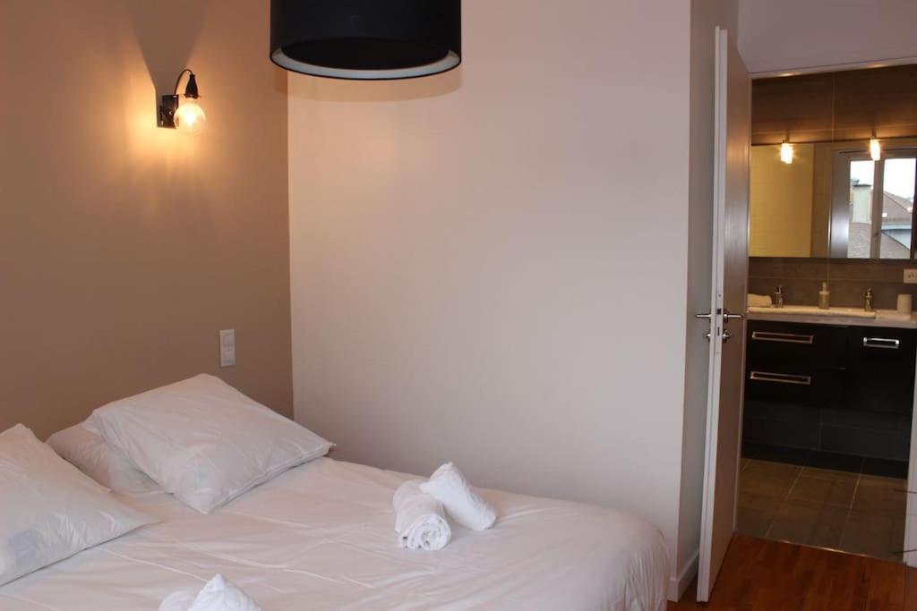 Le Jane : Centre Ville, Garage, Balcon Annecy Bagian luar foto