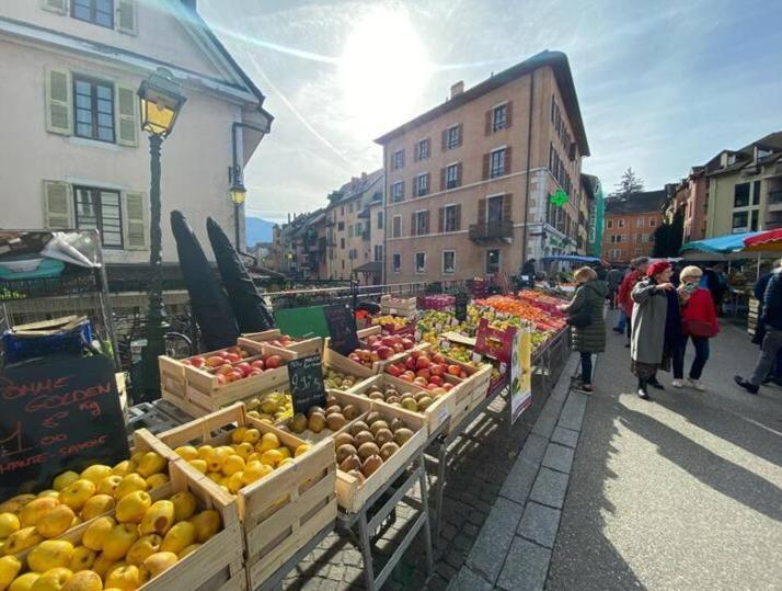 Le Jane : Centre Ville, Garage, Balcon Annecy Bagian luar foto